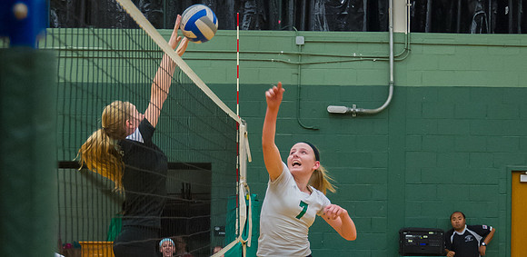 2015 Greendale Girls JV Volleyball
