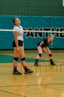 2015 Greendale Girls JV Volleyball