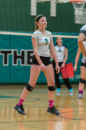 2015 Greendale Girls JV Volleyball