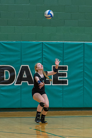 2015 Greendale Girls JV Volleyball