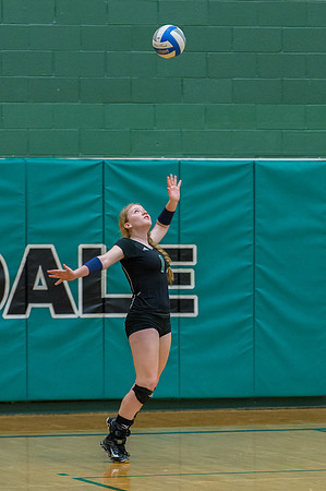 2015 Greendale Girls JV Volleyball