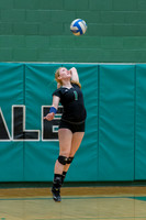 2015 Greendale Girls JV Volleyball