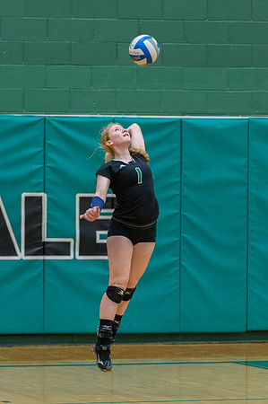2015 Greendale Girls JV Volleyball