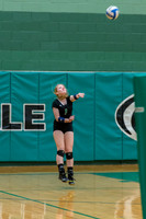 2015 Greendale Girls JV Volleyball