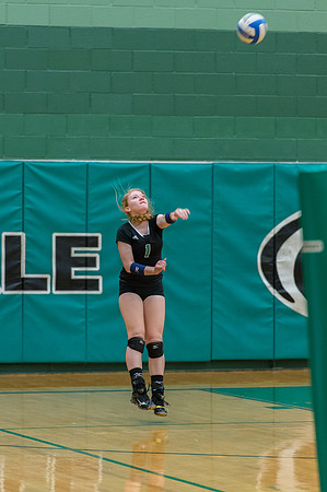 2015 Greendale Girls JV Volleyball