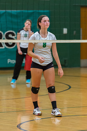 2015 Greendale Girls JV Volleyball