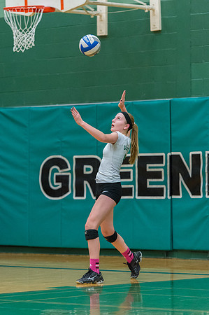 2015 Greendale Girls JV Volleyball