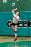 2015 Greendale Girls JV Volleyball