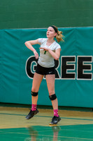 2015 Greendale Girls JV Volleyball