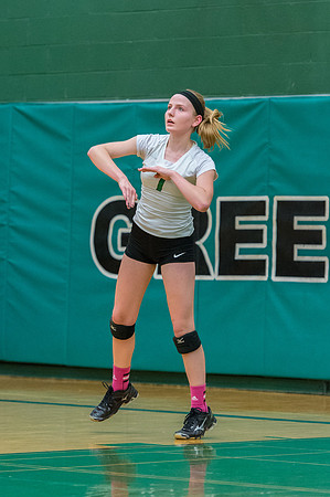 2015 Greendale Girls JV Volleyball