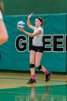 2015 Greendale Girls JV Volleyball
