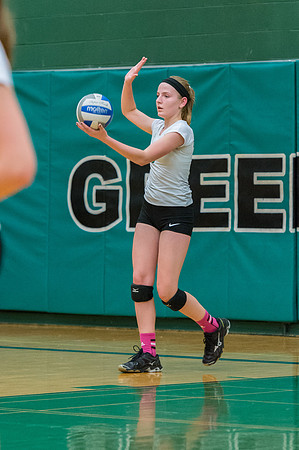 2015 Greendale Girls JV Volleyball