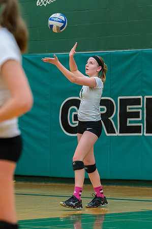 2015 Greendale Girls JV Volleyball