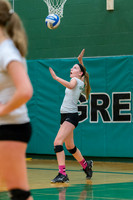 2015 Greendale Girls JV Volleyball