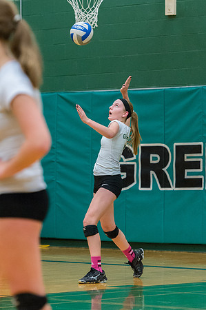 2015 Greendale Girls JV Volleyball