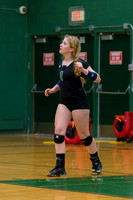 2015 Greendale Girls JV Volleyball