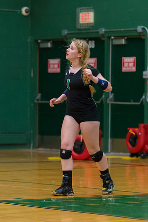 2015 Greendale Girls JV Volleyball