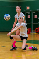 2015 Greendale Girls JV Volleyball