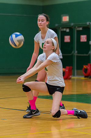 2015 Greendale Girls JV Volleyball