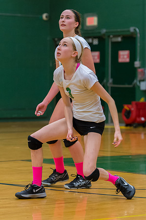 2015 Greendale Girls JV Volleyball