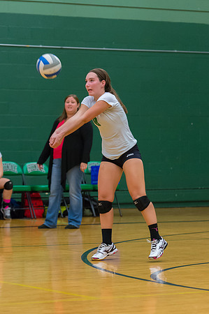 2015 Greendale Girls JV Volleyball