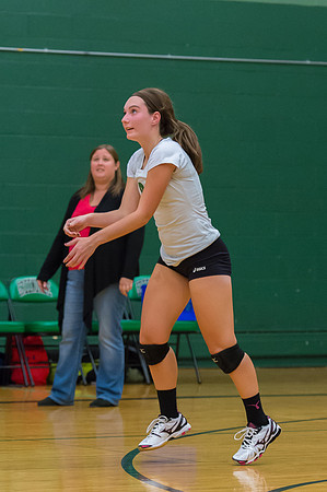2015 Greendale Girls JV Volleyball