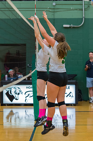 2015 Greendale Girls JV Volleyball
