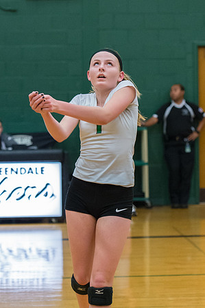 2015 Greendale Girls JV Volleyball