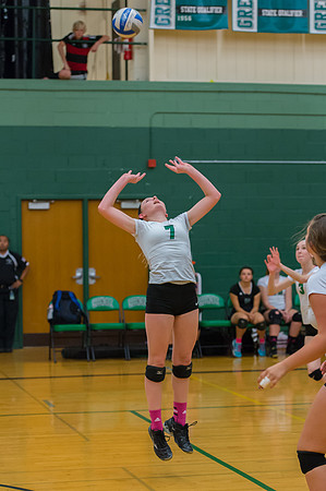 2015 Greendale Girls JV Volleyball