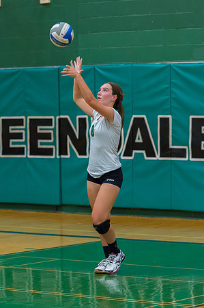 2015 Greendale Girls JV Volleyball