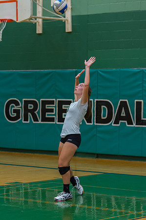 2015 Greendale Girls JV Volleyball