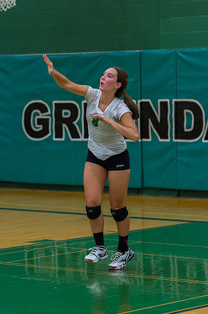 2015 Greendale Girls JV Volleyball
