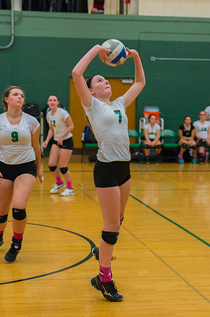2015 Greendale Girls JV Volleyball