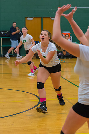 2015 Greendale Girls JV Volleyball