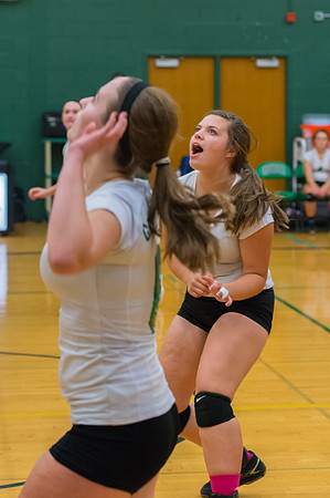 2015 Greendale Girls JV Volleyball
