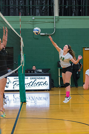 2015 Greendale Girls JV Volleyball