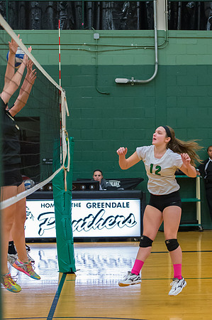 2015 Greendale Girls JV Volleyball