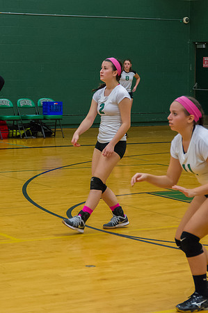 2015 Greendale Girls JV Volleyball