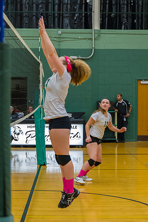 2015 Greendale Girls JV Volleyball