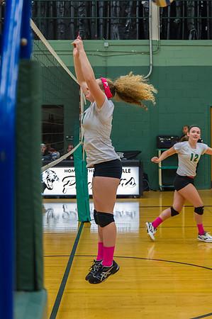 2015 Greendale Girls JV Volleyball