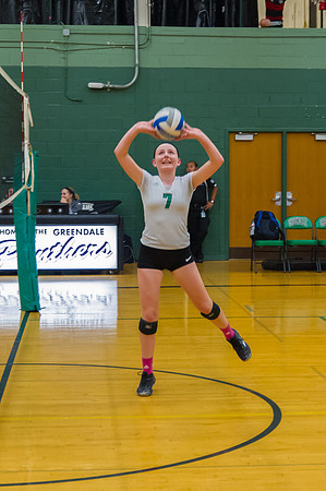2015 Greendale Girls JV Volleyball