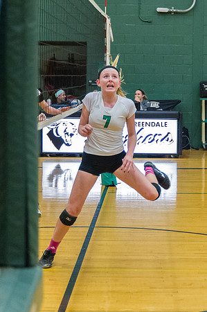 2015 Greendale Girls JV Volleyball
