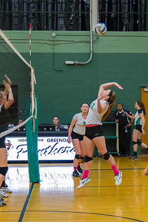 2015 Greendale Girls JV Volleyball