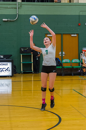 2015 Greendale Girls JV Volleyball