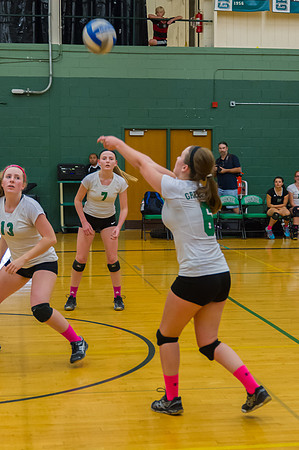 2015 Greendale Girls JV Volleyball