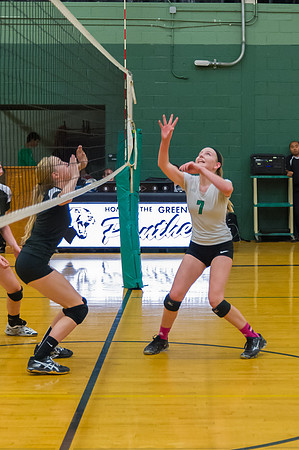2015 Greendale Girls JV Volleyball