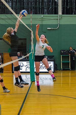 2015 Greendale Girls JV Volleyball