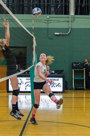 2015 Greendale Girls JV Volleyball