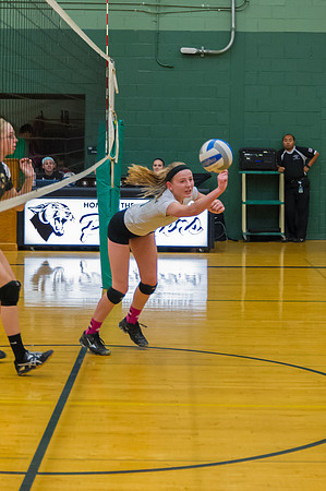2015 Greendale Girls JV Volleyball