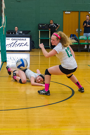 2015 Greendale Girls JV Volleyball